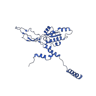 23121_7l20_X_v1-1
Cryo-EM structure of the human 39S mitoribosomal subunit in complex with RRFmt and EF-G2mt.