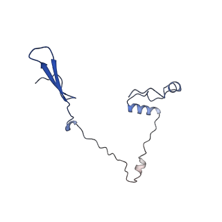 23121_7l20_a_v1-1
Cryo-EM structure of the human 39S mitoribosomal subunit in complex with RRFmt and EF-G2mt.