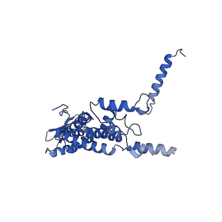 23121_7l20_c_v1-1
Cryo-EM structure of the human 39S mitoribosomal subunit in complex with RRFmt and EF-G2mt.