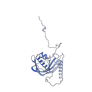 23121_7l20_d_v1-1
Cryo-EM structure of the human 39S mitoribosomal subunit in complex with RRFmt and EF-G2mt.
