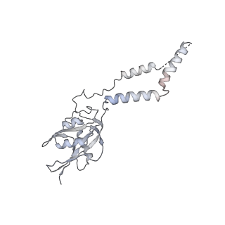 23121_7l20_e_v1-1
Cryo-EM structure of the human 39S mitoribosomal subunit in complex with RRFmt and EF-G2mt.