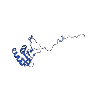 23121_7l20_g_v1-1
Cryo-EM structure of the human 39S mitoribosomal subunit in complex with RRFmt and EF-G2mt.