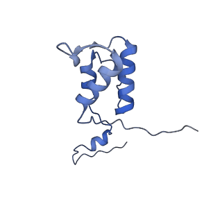 23121_7l20_h_v1-1
Cryo-EM structure of the human 39S mitoribosomal subunit in complex with RRFmt and EF-G2mt.