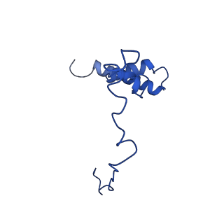 23121_7l20_i_v1-1
Cryo-EM structure of the human 39S mitoribosomal subunit in complex with RRFmt and EF-G2mt.