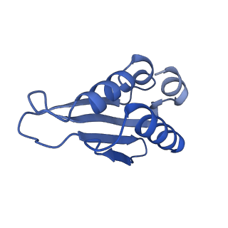 23121_7l20_k_v1-1
Cryo-EM structure of the human 39S mitoribosomal subunit in complex with RRFmt and EF-G2mt.