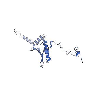 23121_7l20_p_v1-1
Cryo-EM structure of the human 39S mitoribosomal subunit in complex with RRFmt and EF-G2mt.