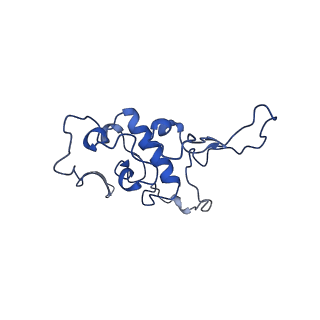 23121_7l20_r_v1-1
Cryo-EM structure of the human 39S mitoribosomal subunit in complex with RRFmt and EF-G2mt.