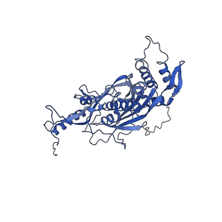 23121_7l20_s_v1-1
Cryo-EM structure of the human 39S mitoribosomal subunit in complex with RRFmt and EF-G2mt.