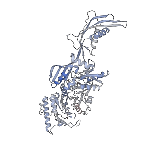 23121_7l20_w_v1-1
Cryo-EM structure of the human 39S mitoribosomal subunit in complex with RRFmt and EF-G2mt.