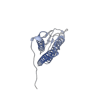 23121_7l20_z_v1-1
Cryo-EM structure of the human 39S mitoribosomal subunit in complex with RRFmt and EF-G2mt.