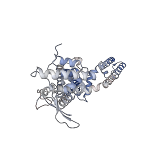 23132_7l2l_A_v1-1
Cryo-EM structure of RTX-bound full-length TRPV1 in O1 state