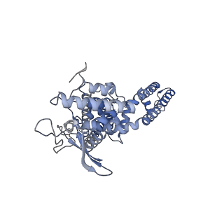23134_7l2n_A_v1-1
Cryo-EM structure of RTX-bound full-length TRPV1 in C1 state
