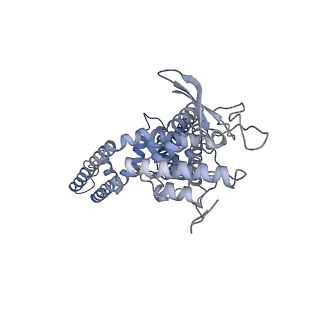 23134_7l2n_C_v1-1
Cryo-EM structure of RTX-bound full-length TRPV1 in C1 state