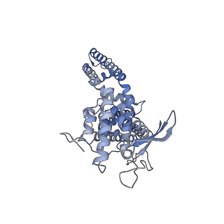 23134_7l2n_D_v1-1
Cryo-EM structure of RTX-bound full-length TRPV1 in C1 state
