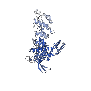 23138_7l2r_A_v1-1
Cryo-EM structure of DkTx-bound minimal TRPV1 at the pre-open state