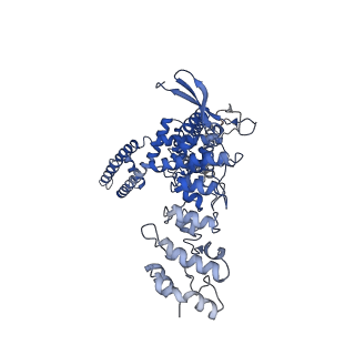 23138_7l2r_C_v1-1
Cryo-EM structure of DkTx-bound minimal TRPV1 at the pre-open state