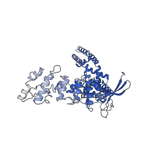 23138_7l2r_D_v1-1
Cryo-EM structure of DkTx-bound minimal TRPV1 at the pre-open state