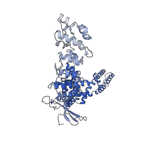 23139_7l2s_A_v1-1
cryo-EM structure of DkTx-bound minimal TRPV1 at the pre-bound state