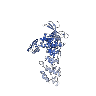 23139_7l2s_C_v1-1
cryo-EM structure of DkTx-bound minimal TRPV1 at the pre-bound state