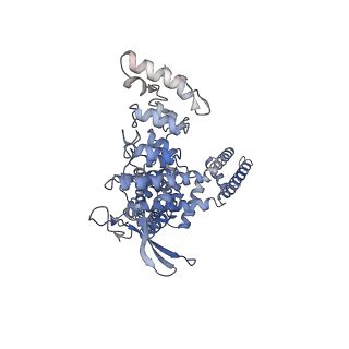 23140_7l2t_A_v1-1
cryo-EM structure of DkTx-bound minimal TRPV1 in partial open state