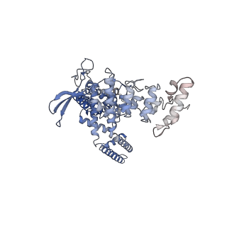 23140_7l2t_B_v1-1
cryo-EM structure of DkTx-bound minimal TRPV1 in partial open state