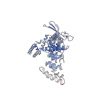 23140_7l2t_C_v1-1
cryo-EM structure of DkTx-bound minimal TRPV1 in partial open state