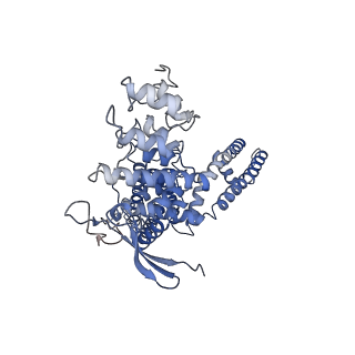 23143_7l2w_A_v1-1
cryo-EM structure of RTX-bound minimal TRPV1 with NMDG at state a