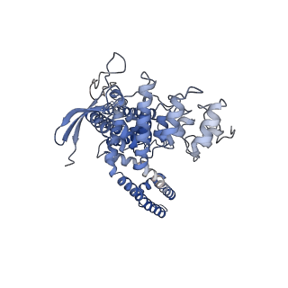 23143_7l2w_B_v1-1
cryo-EM structure of RTX-bound minimal TRPV1 with NMDG at state a