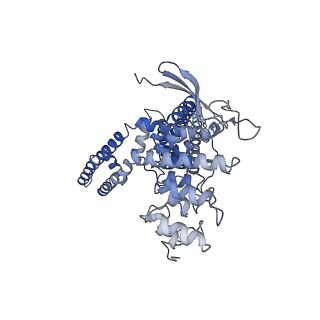 23143_7l2w_C_v1-1
cryo-EM structure of RTX-bound minimal TRPV1 with NMDG at state a