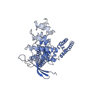 23144_7l2x_A_v1-1
cryo-EM structure of RTX-bound minimal TRPV1 with NMDG at state c