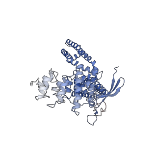 23144_7l2x_D_v1-1
cryo-EM structure of RTX-bound minimal TRPV1 with NMDG at state c