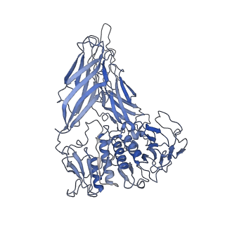 23146_7l2z_F_v1-0
Bacterial cellulose synthase BcsB hexamer
