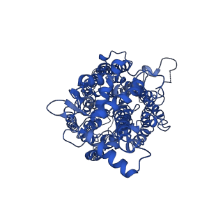 0822_6l3h_A_v1-1
Cryo-EM structure of dimeric quinol dependent Nitric Oxide Reductase (qNOR) from the pathogen Neisseria meninigitidis