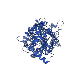 0822_6l3h_A_v1-2
Cryo-EM structure of dimeric quinol dependent Nitric Oxide Reductase (qNOR) from the pathogen Neisseria meninigitidis