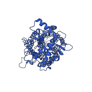0822_6l3h_B_v1-1
Cryo-EM structure of dimeric quinol dependent Nitric Oxide Reductase (qNOR) from the pathogen Neisseria meninigitidis