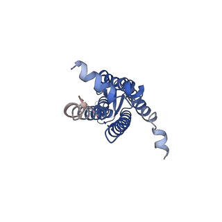 0827_6l3v_D_v1-2
The R15G mutant of human Cx31.3/GJC3 connexin hemichannel