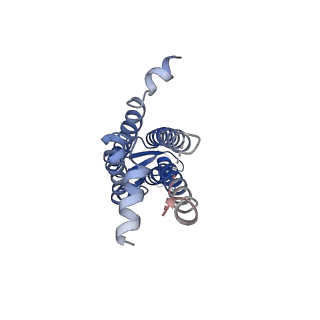 0827_6l3v_F_v1-2
The R15G mutant of human Cx31.3/GJC3 connexin hemichannel