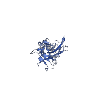 23148_7l31_D_v1-0
Cyro-EM structure of human Glycine Receptor alpha2-beta heteromer, strychnine bound state, 3.8 Angstrom