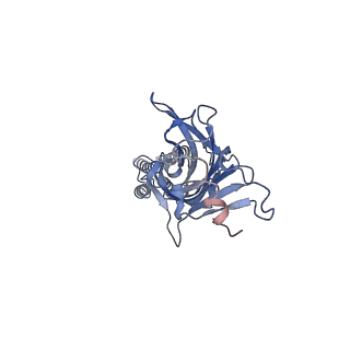 23148_7l31_E_v1-0
Cyro-EM structure of human Glycine Receptor alpha2-beta heteromer, strychnine bound state, 3.8 Angstrom