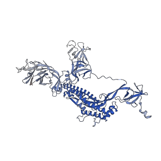 23156_7l3n_A_v1-0
SARS-CoV 2 Spike Protein bound to LY-CoV555