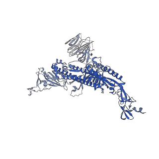 23156_7l3n_B_v1-0
SARS-CoV 2 Spike Protein bound to LY-CoV555