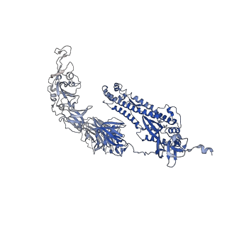 23156_7l3n_C_v1-0
SARS-CoV 2 Spike Protein bound to LY-CoV555