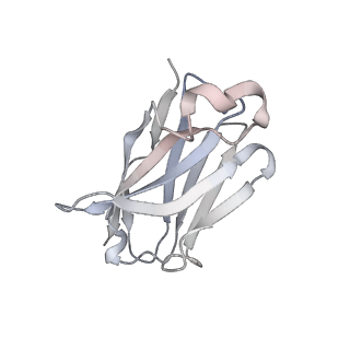 23156_7l3n_D_v1-0
SARS-CoV 2 Spike Protein bound to LY-CoV555