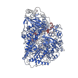 0828_6l42_A_v1-0
Structure of severe fever with thrombocytopenia syndrome virus L protein