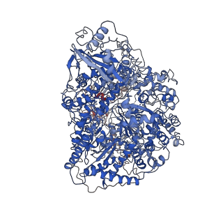0828_6l42_A_v2-0
Structure of severe fever with thrombocytopenia syndrome virus L protein