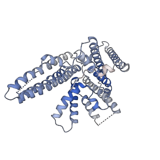 0832_6l48_A_v1-1
Structure of the human sterol O-acyltransferase 1 in resting state