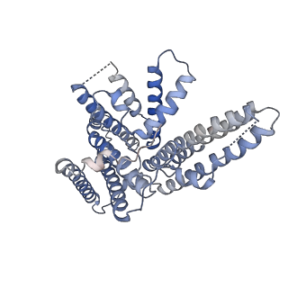 0832_6l48_B_v1-1
Structure of the human sterol O-acyltransferase 1 in resting state