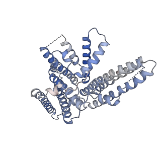 0832_6l48_B_v1-2
Structure of the human sterol O-acyltransferase 1 in resting state