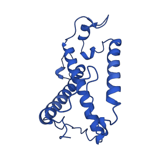0834_6l4t_12_v1-0
Structure of the peripheral FCPI from diatom