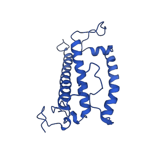 0834_6l4t_6_v1-0
Structure of the peripheral FCPI from diatom